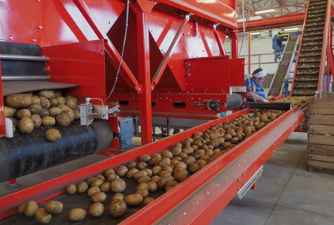 строительство быстровозводимого овощехранилища в Казахстане