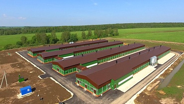 113. Быстровозводимый комплекс птицеферм 15 х 115 х 3 около г. Тула, Россия (4шт.)