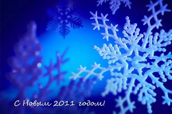 Поздравляем вас с Новым годом и Рождеством! 