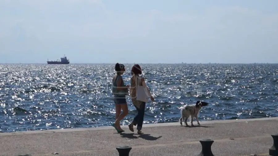 Команда проекта WebSteel совершила путешествие в Южную Европу