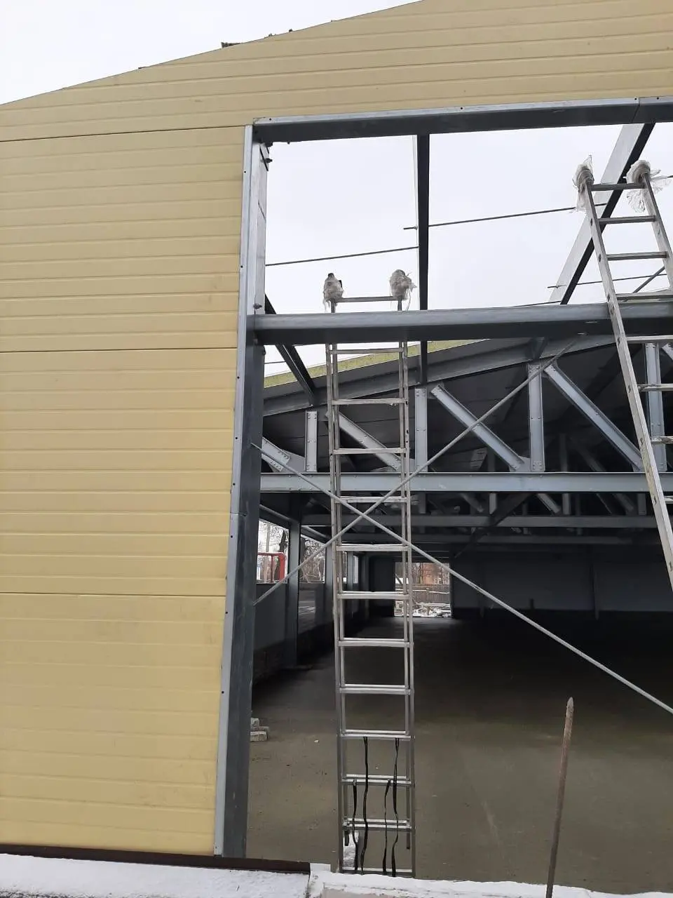 Завод ПК Веста объявляет о заказе быстровозводимого магазина 18х36х3 в г. Рязань, Россия