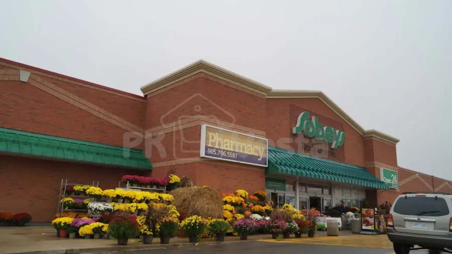 Команда проекта WebSteel завершила путешествие в Северную Америку